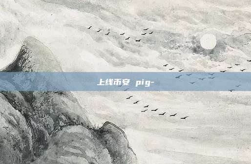 上线币安 pig-