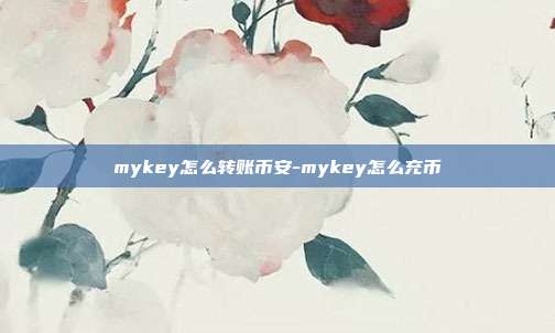 mykey怎么转账币安-mykey怎么充币