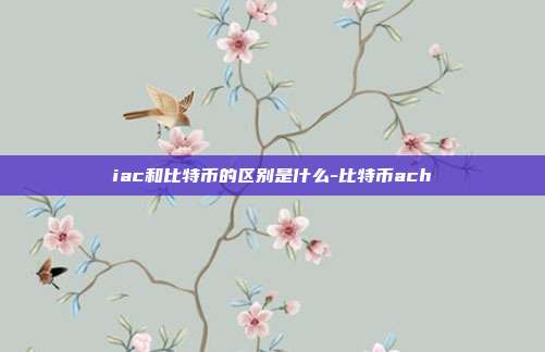 iac和比特币的区别是什么-比特币ach