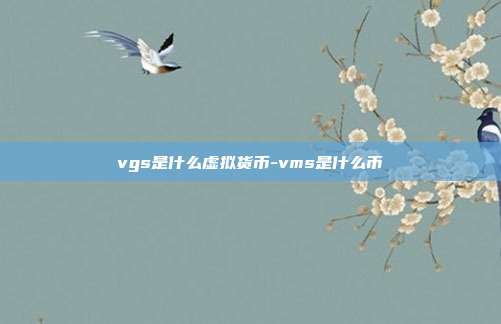 vgs是什么虚拟货币-vms是什么币