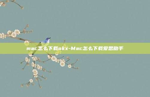 mac怎么下载okx-Mac怎么下载爱思助手