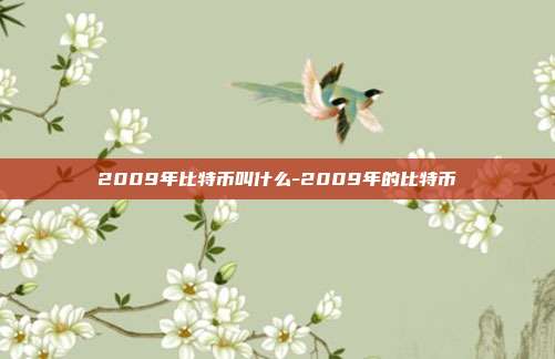 2009年比特币叫什么-2009年的比特币