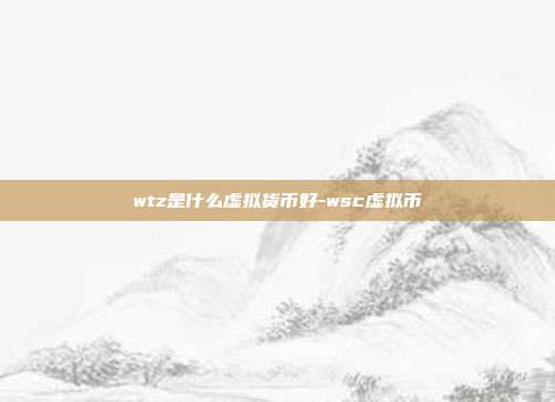 wtz是什么虚拟货币好-wsc虚拟币