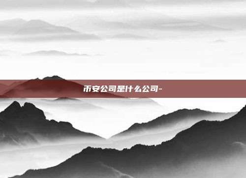 币安公司是什么公司-