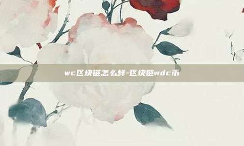 wc区块链怎么样-区块链wdc币