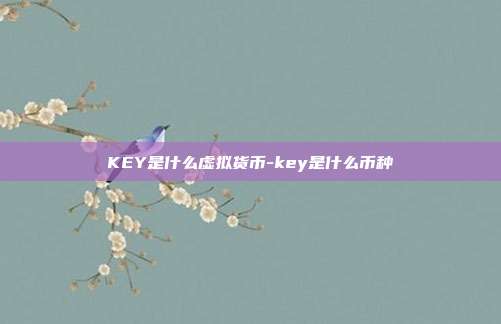 KEY是什么虚拟货币-key是什么币种