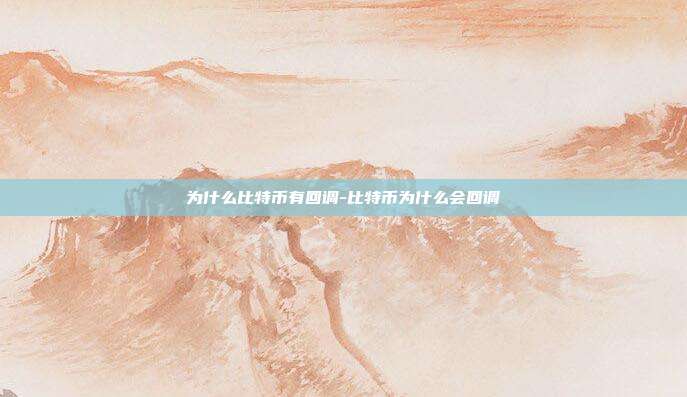 为什么比特币有回调-比特币为什么会回调