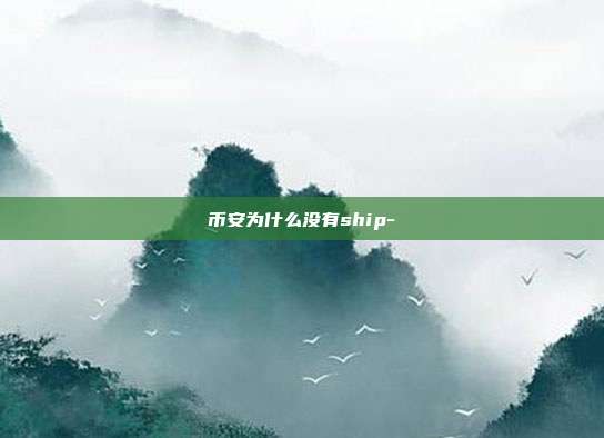 币安为什么没有ship-