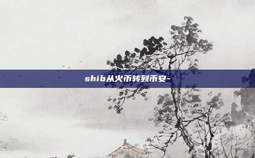 shib从火币转到币安-