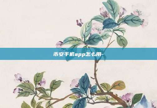 币安手机app怎么用-