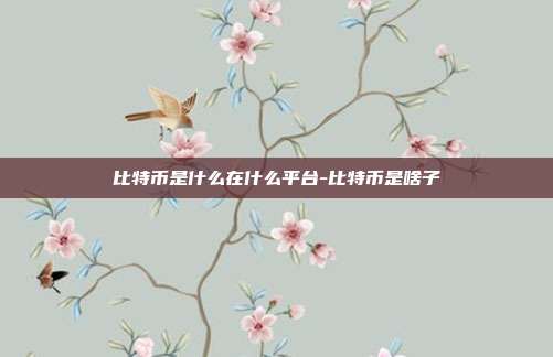 比特币是什么在什么平台-比特币是啥子