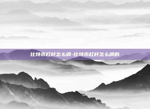 比特币杠杆怎么调-比特币杠杆怎么调的