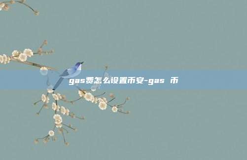 gas费怎么设置币安-gas 币