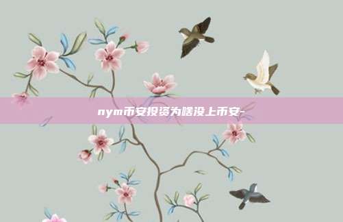 nym币安投资为啥没上币安-