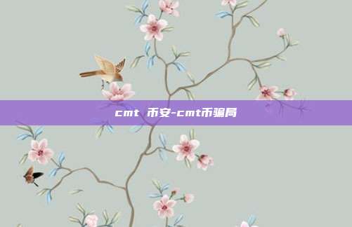 cmt 币安-cmt币骗局