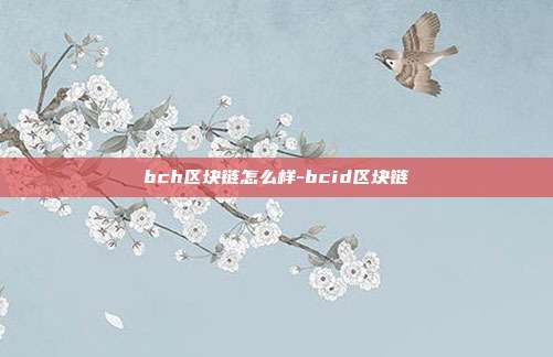 bch区块链怎么样-bcid区块链