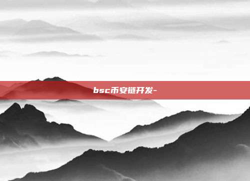 bsc币安链开发-