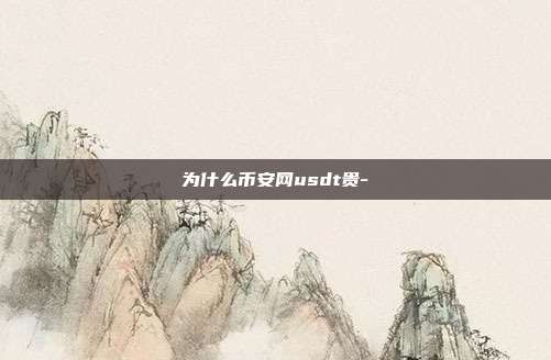 为什么币安网usdt贵-