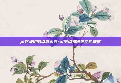 pi区块链节点怎么弄-pi节点如何运行区块链