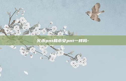 火币pnt和币安pnt一样吗-