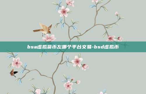 bsa虚拟货币左哪个平台交易-bsd虚拟币