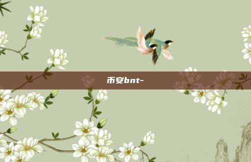 币安bnt-