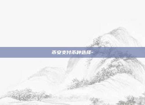 币安支付币种选择-