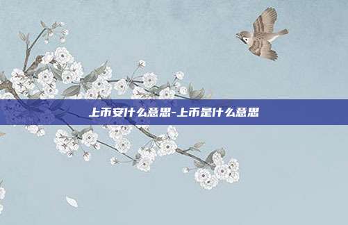 上币安什么意思-上币是什么意思