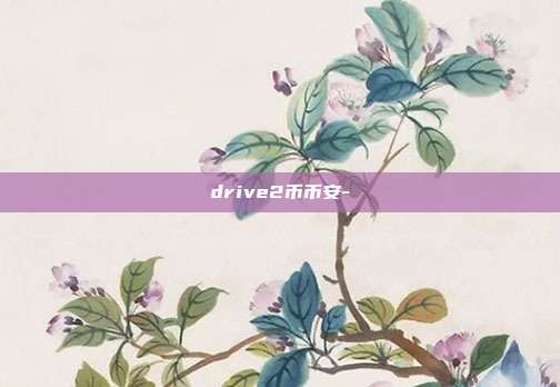 drive2币币安-