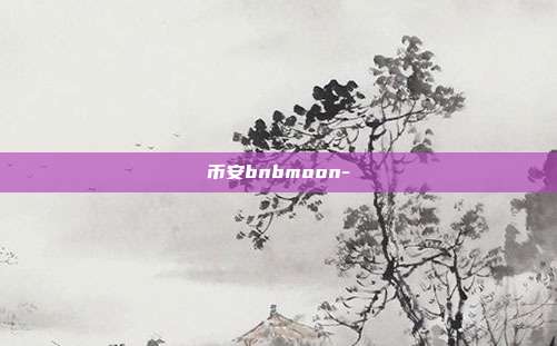 币安bnbmoon-