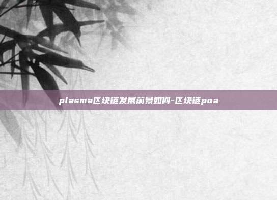 plasma区块链发展前景如何-区块链poa