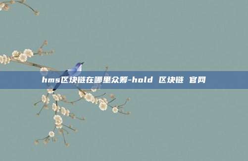 hms区块链在哪里众筹-hold 区块链 官网