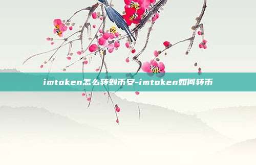 imtoken怎么转到币安-imtoken如何转币