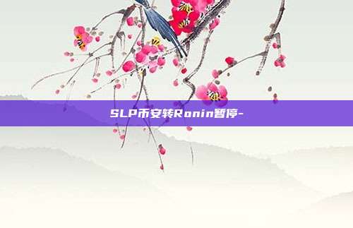 SLP币安转Ronin暂停-