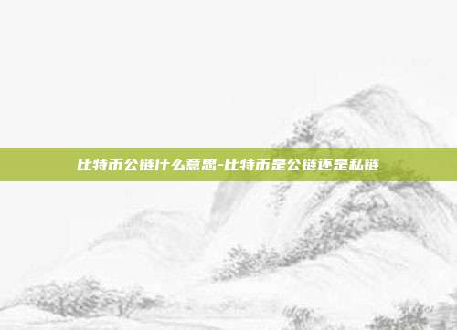 比特币公链什么意思-比特币是公链还是私链