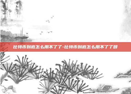 比特币到底怎么用不了了-比特币到底怎么用不了了呀