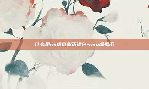 什么是im虚拟货币钱包-imo虚拟币