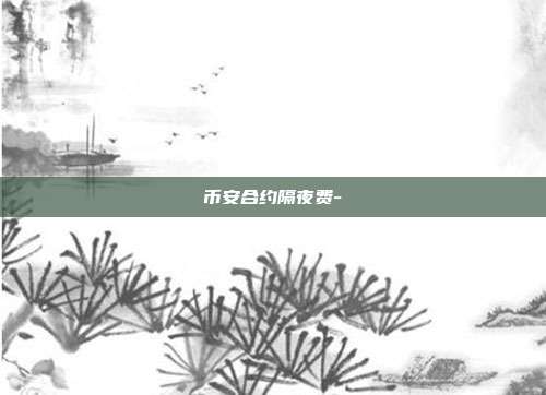 币安合约隔夜费-