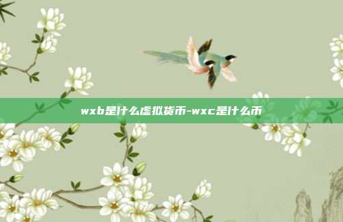 wxb是什么虚拟货币-wxc是什么币