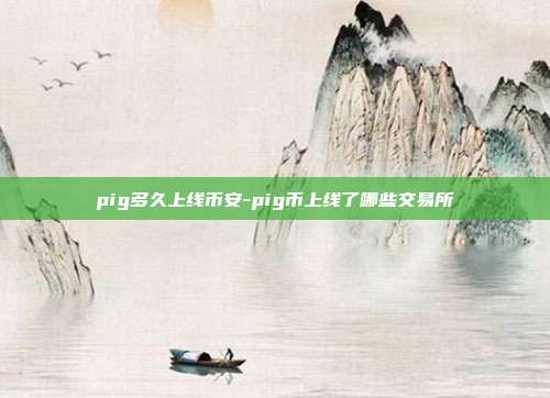 pig多久上线币安-pig币上线了哪些交易所