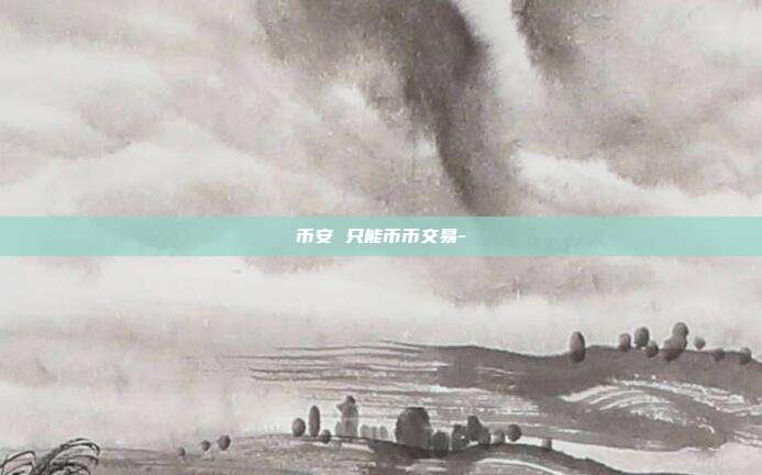 币安 只能币币交易-