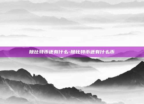 除比特币还有什么-除比特币还有什么币