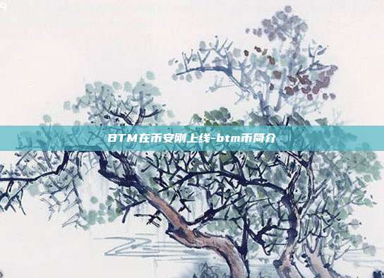 BTM在币安刚上线-btm币简介