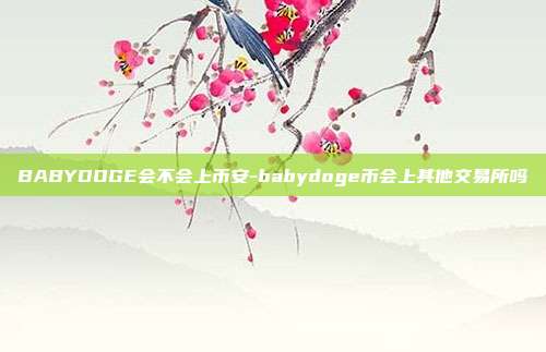 BABYDOGE会不会上币安-babydoge币会上其他交易所吗