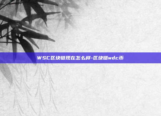 WSC区块链现在怎么样-区块链wdc币