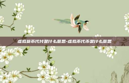 虚拟货币代付是什么意思-虚拟币代币是什么意思