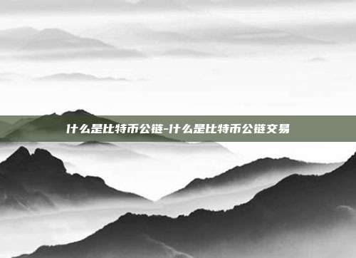 什么是比特币公链-什么是比特币公链交易