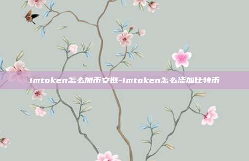 imtoken怎么加币安链-imtoken怎么添加比特币