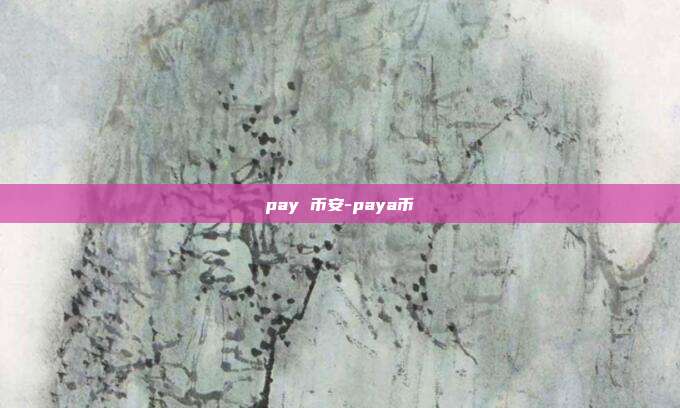 pay 币安-paya币