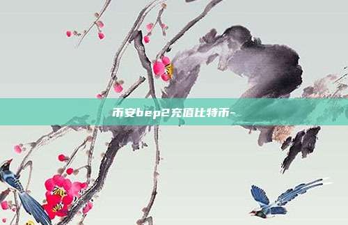 币安bep2充值比特币-